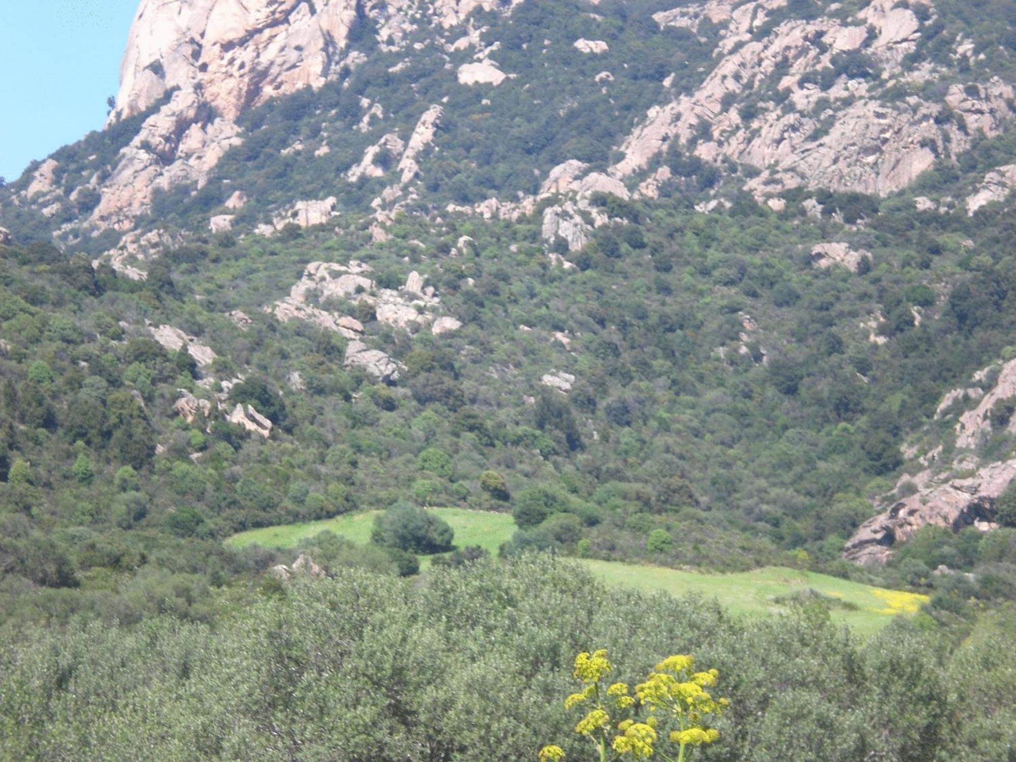 Hotel Turismo Rurale Montitundu Portisco Kültér fotó